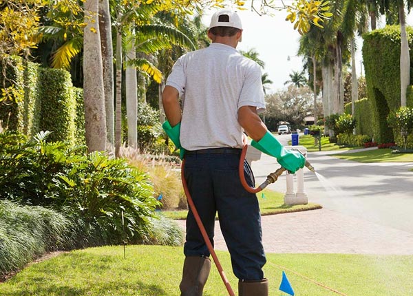 About Austin PA Pest Control